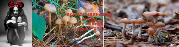 jwh Осташков