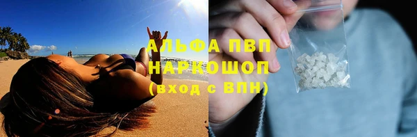 молекула духа Переславль-Залесский