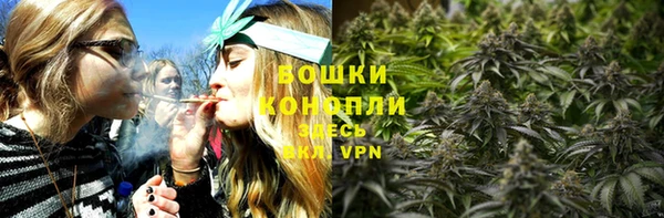 молекула духа Переславль-Залесский