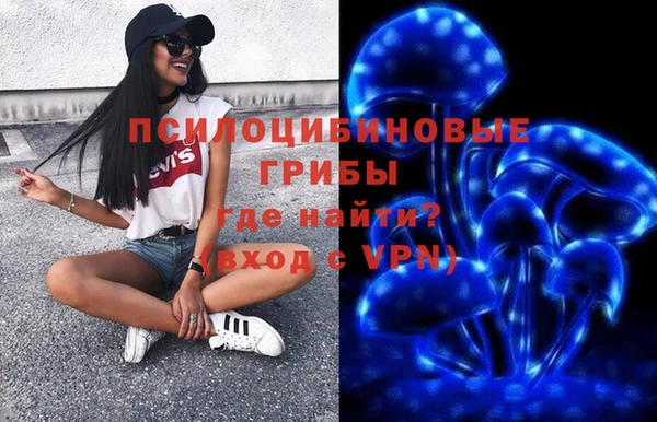 соль ск Пересвет