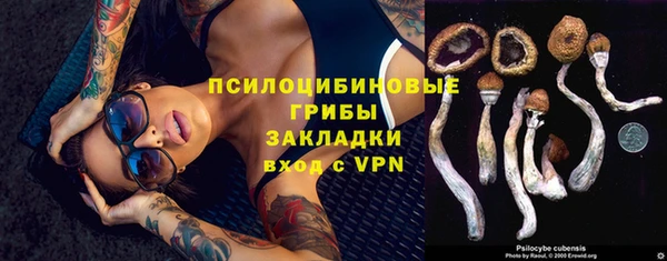 молекула духа Переславль-Залесский
