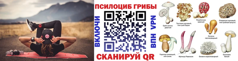 Галлюциногенные грибы мухоморы  купить закладку  Инта 
