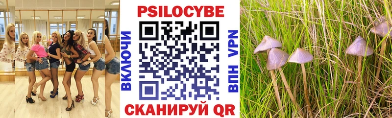 Псилоцибиновые грибы прущие грибы Инта